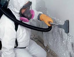  San Dimas, CA Mold Removal & Remediation Pros